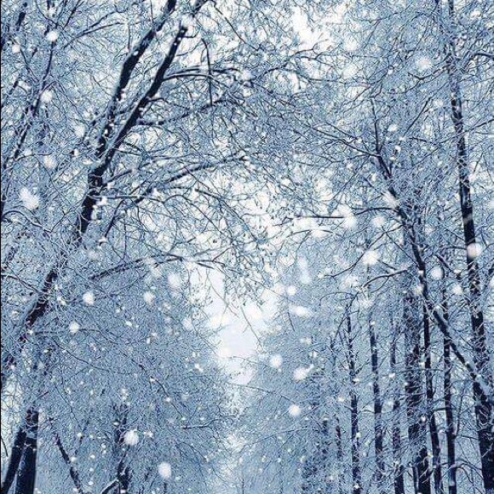 Meet your Posher, Corrine